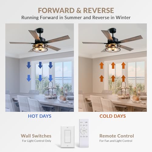 Farmhouse Ceiling Fan with Lights 52 Inch Caged | Bubble glass shade farmhouse fandelier with walnut blades, quiet DC motor, remote, 6 speeds, timer for stylish living spaces - size: 52 Inch - Walnut