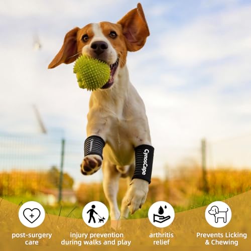 Front Leg Brace for Dogs & Cats – Carpal Splint with Wrist Support for Small & Large Breeds - size: Large