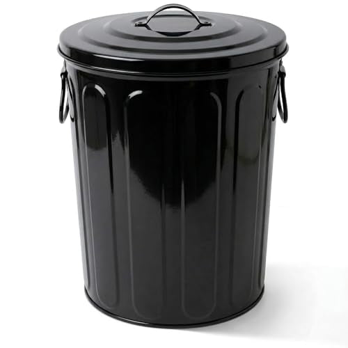 Plexon 5 Gallon Small Metal Trash Can with Lid Outdoor Galvanized Steel Bucket with Lid 5 Gal Storage Can for Dog Food Bird Seed Storage Container, Black - color: Black