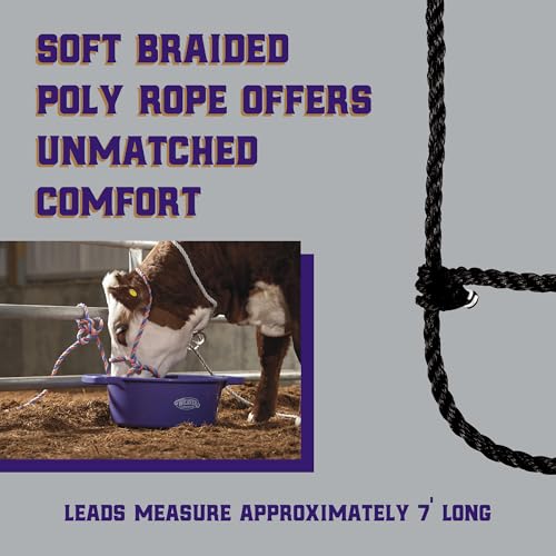 Weaver Livestock Braided Poly Rope Cattle Halter, Adjustable, Modern Style Cow Calf Halter, Livestock Handling Equipment for Showing, Black - color: Black, size: One Size