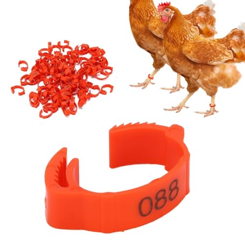 100Pcs Chicken Leg Rings, 5 Colors Readable Numbered Chicken Identification Leg Bands Card Slots Design Poultry Leg Tags for Chicks Ducks (Red (100 Pieces per Pack)) - color: Red (100 Pieces Per Pack)