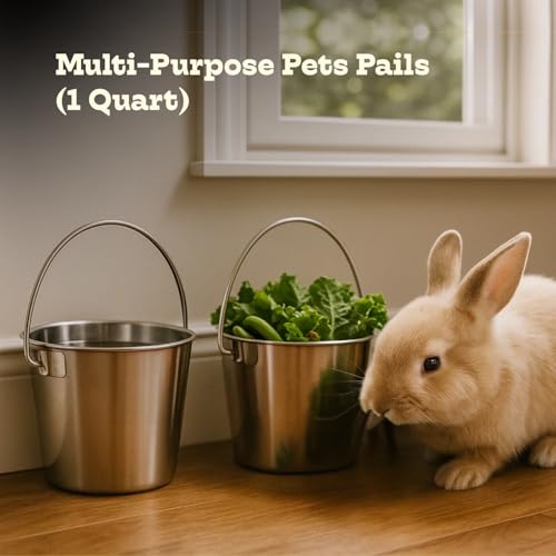 1Qt Stainless Steel Hanging Water Bucket for Dog Kennel 2-Pack | Food & Water Pail, 0.25 Gallon Capacity, Heavy-Duty, Round Design with Carry Handle, Ideal for Dogs, Cats, Birds & Small Pets - size: 1 Quart (Pack of 2)