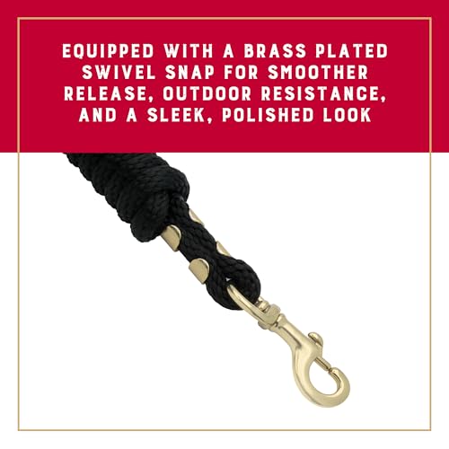 Weaver Equine Performance Lead Rope, Lime Zest, 8' Horse Value Rope with Brass Plated 225 Snap, Soft Comfort Grip, Barn Horse Tack for Daily Use - color: Black