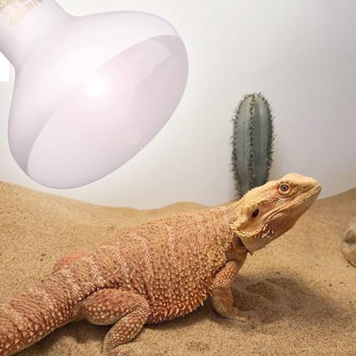 Aiicioo Reptile Basking Light Bulb - 150W Reptile Heat Lamp 2 Pack UVA Daylight Amphibians Basking Bulb for Bearded Dragon Turtle Hermit Crab Gecko Lizard Chicken - color: ['White'], size: ['150W']