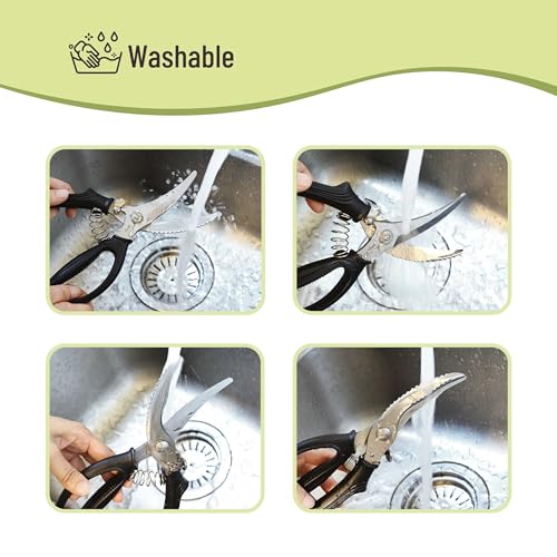Mr. Pen- Heavy Duty Poultry Shears, Chicken Shears, Meat Cutting Scissors | Chicken Scissors Heavy Duty