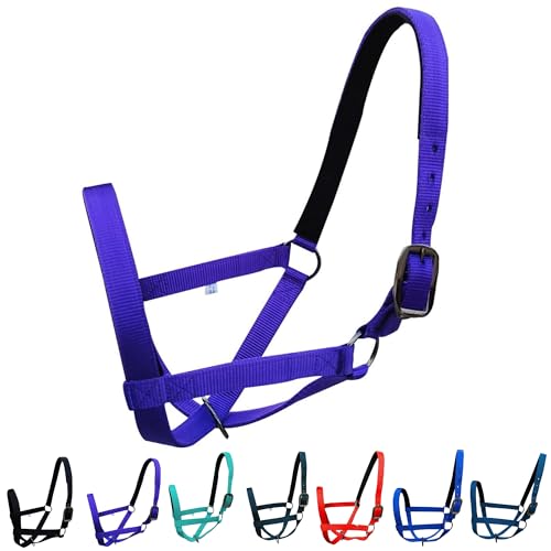Majestic Ally Adjustable Nylon Cattle Halter with Padded Crown and Nose - 6-Month Warranty - color: Purple