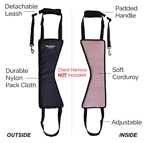 GINGERLEAD Dog Sling Hind Leg Support, M/LG Unisex with Cutout, Made in USA | Help Pets Walk, K9s Recover from Surgery, Fits Male & Female, Integrated Leash, Machine Wash/Dry, Chest Harness NOT Included - size: Medium-Large - Unisex