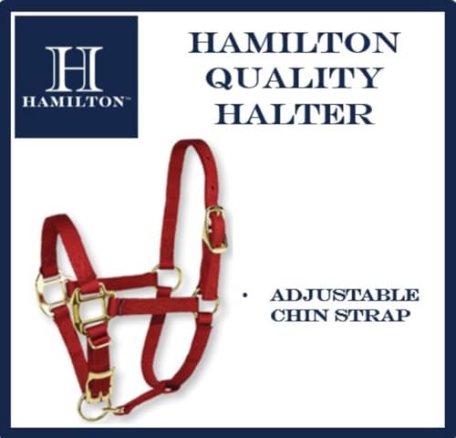 Hamilton Quality Adjustable Horse Halter, 100-200 lbs, Blue | Premium Quality 3/4" Triple Ply Nylon, Pony/Mini Donkey, Adjustable Chin Strap, Rolled Throat, Brass Plated Hardware - color: Blue, size: Pony, 100-200lbs