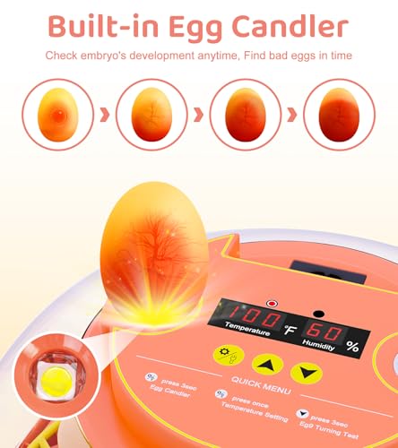 12 Egg Incubator for Hatching Eggs, Smart Temperature and Humidity Control, Automatic Egg Turning, Incubator for Hatching Chicken, Quail, Duck Eggs, 360° Clear View for Home, Classroom, Farm