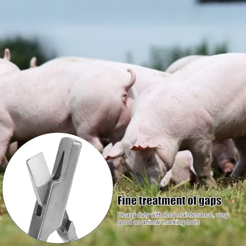 Pig Ear Tag Pliers, Stainless Steel Animal Identify Tool for Pig Equipment Farm Animals Stainless Steel Pig Ear Tag Plier(V shape)
