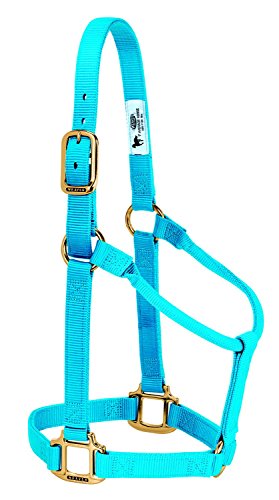 Weaver Leather Original Non-Adjustable Nylon Horse Halter, Small, Hurricane Blue