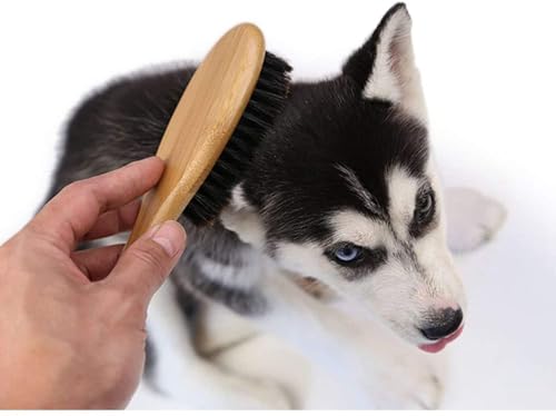 Patina Pet Grooming Brush with Boar Bristles | Professional Daily Grooming for Soft Hair, Reduces Shedding, Gentle Massage, Healthy Shine