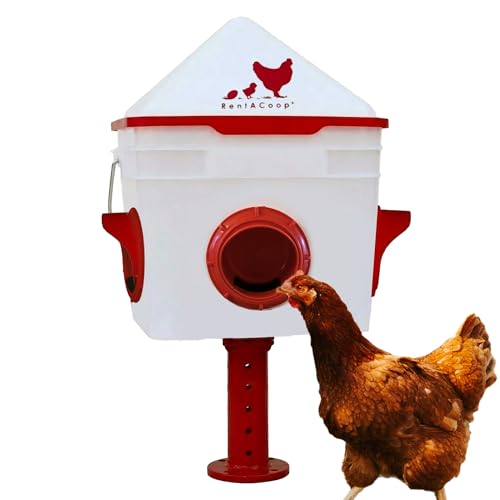 RentACoop Chick2Chicken 10lb BPA-Free 4-Medium Port Feeder