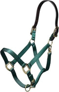 ARMA Shires Nylon Halter with Leather Head Strap - color: Hunter, size: Full