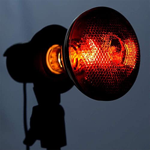 2 Pack 125W Red Heat Lamp Infrared Bulbs,PAR38 Flood Light Glass Lamp Bulb for Food Service, Brooder Bulb, Chicks, Pet, Bathroom, Light Therapy Use E26 Base. - size: STD-125W