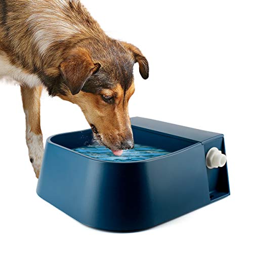 LESYPET Automatic Water Dispenser for Dogs, 68 oz Outdoor Dog Drinking Water Bowl for Chicken Livestock, Auto Filling Waterer for Pets & Livestock - size: 68 oz - Bowl