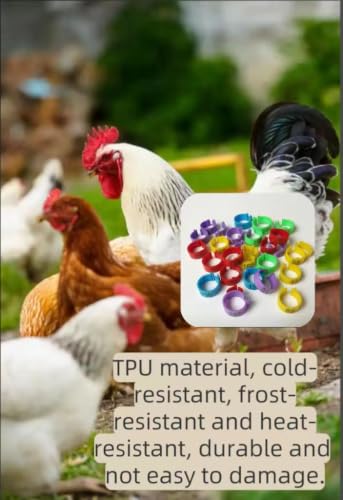 Large Poultry Leg Rings, 80 Adjustable Leg Rings, Suitable for Poultry Such as Chickens, Ducks, Guinea Pigs, Geese, Wild Chickens, Turkeys, etc., with a Size of 20mm