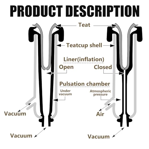 Threlaco Milking Machine Accessory Cow Teat Cup, Double Cup with Tube for Cow, Sheep, Camels, Farm Tool(Stainless Steel)