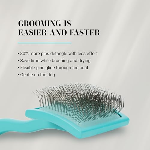 Chris Christensen Big G Dog Slicker Brush for Dogs (Goldendoodles, Labradoodles, Poodles), Groom Like a Professional, Fluff Detangle Style, Saves Time Energy, Teal, Medium - color: Teal, size: Medium