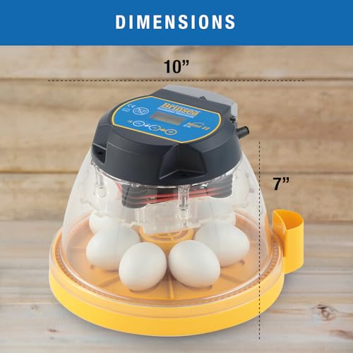 Brinsea Mini II EX Egg Incubator with Automatic Turning & Humidity Control | 50+ years of expertise! Built-in automatic humidity, auto-turn & temp alarms take the guesswork out of hatching 7-12 eggs