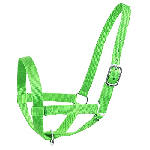 Derby Originals Adjustable Nylon Livestock Cattle Halters - color: lime green, size: Medium (500-800lbs)