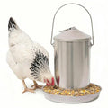 Plexon 6.6 Lb Hanging Chicken Feeder Metal Chicken Feeder with Handle no Waste Food - Stainless Steel - Turkey Duck Poultry Feeder - Heavy Duty Feeding Equipment - Backyard Coop - Small - size: 6.6 LB