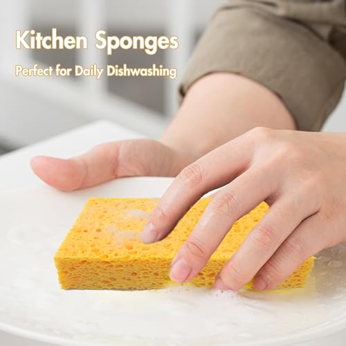 6 x 3.6 x 0.9 Inch JK SP-T22 Large Sponge, Kitchen Sponges, Handy Sponges, Cellulose Sponges, Dish Washing Sponge, Natural Sponge, Car Washing Sponge, Eco Friendly Sponge - size: 6.0x3.6x0.9 Inch (Pack of 3)