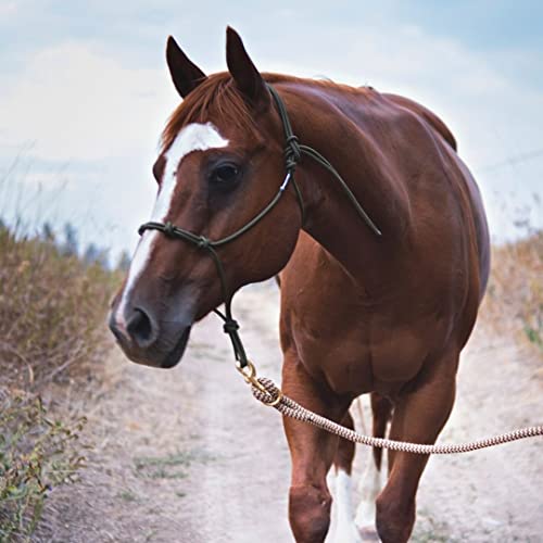 Double Braid Polyester Yacht Horse Lead Rope with Loop 12ft. or 14ft. Lengths (Beige, 14 ft. No Snap) - color: Beige, size: 14 ft.