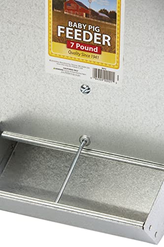 Little Giant® 2-Hole Baby Pig Feeder | Piglet Feeder Trough | Mountable Feeder for Baby Pigs