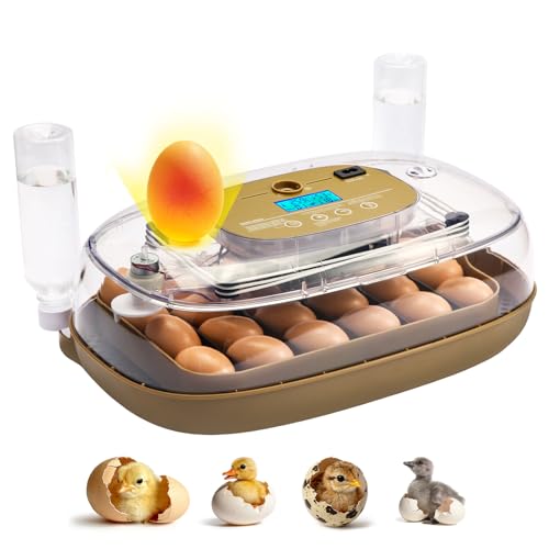 24-Egg Incubator: Auto Egg Turner, Precise Temp Control, Auto Water Refill, Candler | 360° Full Clear View | Fits Chicken/Duck/Quail/Goose/Parrot Eggs | Farm/Home/Classroom Use