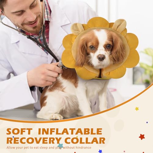 IEUUMLER Inflatable Recovery Dog Collar, Protective Donut Cone, Adjustable Soft Collar for Dog and Cat After Surgery Prevent from Biting & Scratching EU002 - Brown Lion M+ - color: Brown Lion, size: Medium + (Neck:11''-13'')