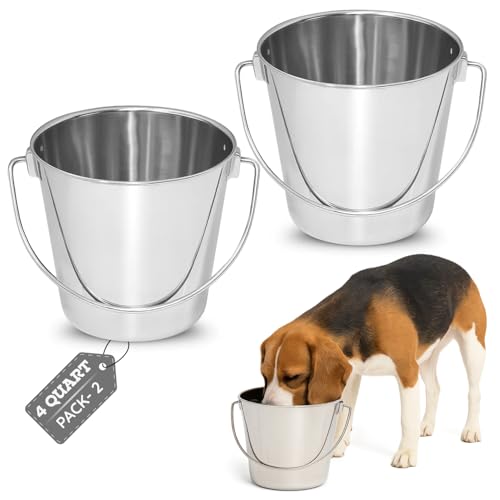 4Qt Heavy Duty Stainless Steel Water Bucket for Kennel, 2-Pack | Food & Water Pail, 1 Gallon Capacity, Heavy-Duty, Round Design with Carry Handle, Ideal for Dogs, Cats, Goat & Farm Animals - size: 4 Quart (Pack of 2)