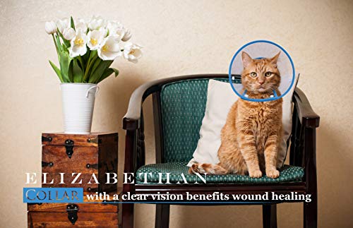 Cat Cone Collar, to Stop Licking, Recovery Elizabethan After Surgery, Clear Soft Neck E-Collar, Not Block Vision, for Kitten Puppy Dog Pet in Surgery Remedy - S in Blue | Stop Licking, Soft Cone, Clear Vision, Soft Padded Neck, Recovery Collar, After Surg