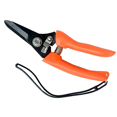 yeezo Goat Hoof Trimmer Foot Rot Trimming Shears Goats Nail Trimmers for Sheep Alpaca Pig Lamb Hooves Daily Trimming Multi Use Garden Scissors Pruning Shears Cutter Clipper Tool
