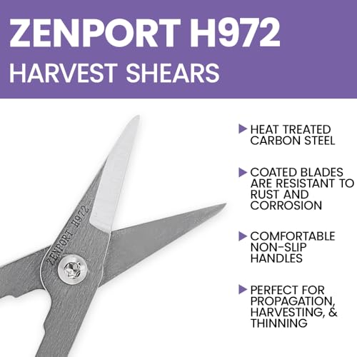 Zenport 210cm (8.25-inch) Fruit (Pomelo) Harvester/Thinning Shear w/Wishbone Spring, Package of 3