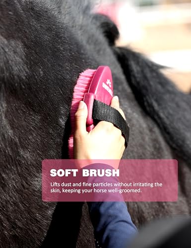 Shinewell Horse Grooming Kit, Complete Horse Brush Set, Equine Grooming Tools for Shedding & Daily Care Pink - color: Pink