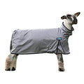 ProCool™ Sheep Blanket with Reflective Piping, Extra Small, Gray
