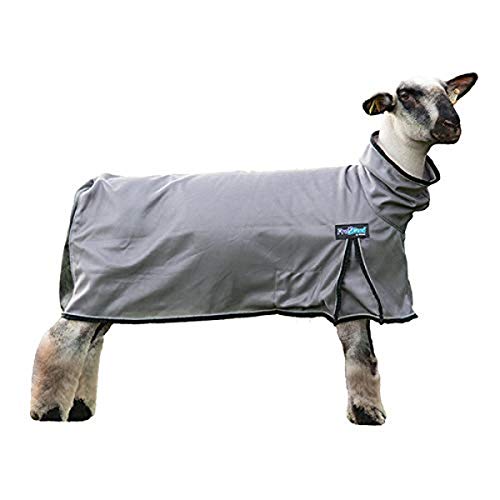ProCool™ Sheep Blanket with Reflective Piping, Extra Small, Gray