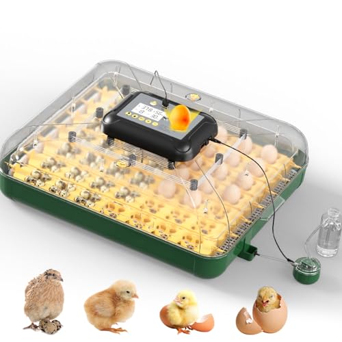 125 Egg Incubator for Hatching Eggs with Automatic Egg Turning | Temperature & Humidity Display, Hatch Day Countdown, Egg Candler, Quail Egg Incubator for Chicken, Dove and Other Birds - size: M- 196 Quail Eggs