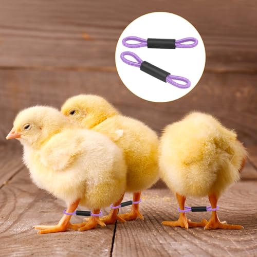M METERXITY 50-Pack Adjustable Chick Leg Bands, 1.38" x 0.2" Polyester Chicken Leg Brace for Chicks/Ducks/Birds [Purple] Poultry Leg Bands - color: Purple