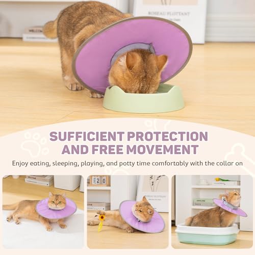 Avont Lightweight Waterproof Foldable Cone, Soft E-Collar - M Purple | Neck up to 11.8", Width 3.7". Foldable soft cone for cats & small dogs, stops licking, waterproof, easy clean - color: Purple, size: M