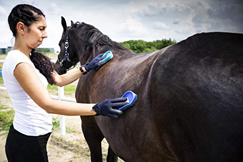 Intrepid International Magic Horse Brush, for Horse Grooming Kit w/Durable Plastic Bristles, Horse Brushes for Grooming, Removes Dirt, Sweat, Grime, Blue
