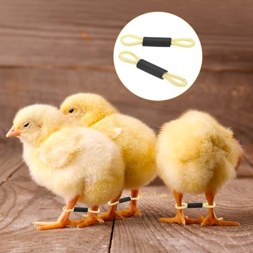 M METERXITY 100-Pack Adjustable Chick Leg Bands, 1.38" x 0.2" Polyester Chicken Leg Brace for Chicks/Ducks/Birds [Light Yellow] Poultry Leg Bands - color: Light Yellow