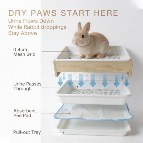 3 in 1 Rabbit Litter Box with Removable Hay Feeder, Separation Litter Box | Removable Hay Rack Feeder & Urine Waste Separation Bunny Toilet for Guinea Pigs, Chinchillas, Hamsters Rabbits - Less Mess