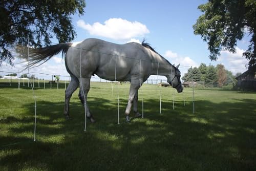 Electric Horse Netting 48" x 164' Portable Trail & Show Fence