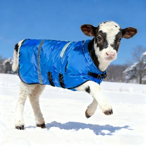 2pcs All-Weather Calf Blanket with Fleece Lining & Windproof Shell - Versatile Goat Blankets for Winter and Durable Sheep Blanket with Full Belly Coverage (Blue 2pcs) - color: Blue