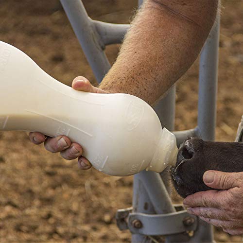 BESS Calf 2qt Nursing Feeding Bottle: Leak-Free, Non-Collapsing, with Clear Screw-on Nipple (2 qt, Screw on), with Bottom Cap