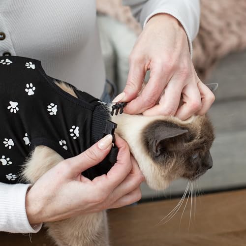 Cat Surgery Recovery Suit Female Cat Onesie for Cats After Surgery Spay Surgical Abdominal Wound Skin Diseases E-Collar Alternative Wear (Black, Medium) (Pack of 2) - color: Black, size: Medium (Pack of 2)
