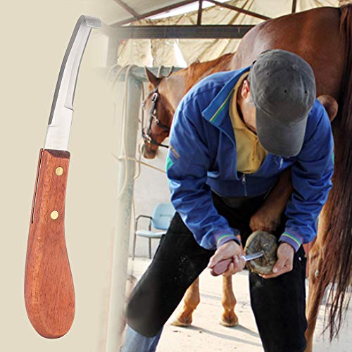 Hoof Knife for Horse Hoof Trimming 45 Steel Material Ergonomic Wooden Handle 22.5cm for Cattle Goat Sheep, Smooth Glide Dual Sided Reduces Hand Fatigue for Livestock