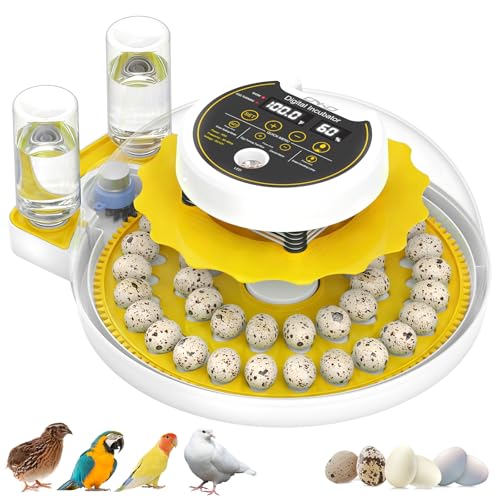 Quail Egg Incubator for Hatching 40 Quail Eggs with Automatic Turner | and Humidity Control,Small Brooder, Outdoor Poultry Egg Incubator, Suitable for Parrot Canary and Other Bird - color: Yellow